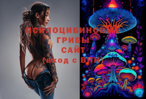 первитин Алексин