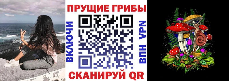 Псилоцибиновые грибы мухоморы  omg ссылка  Киров 